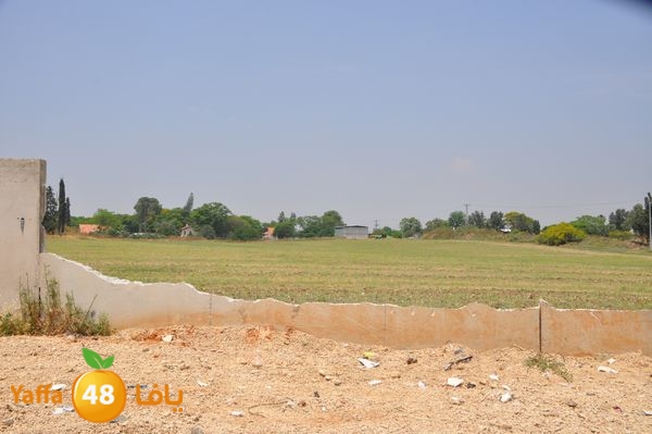 wallludshaneer509 (10).JPG